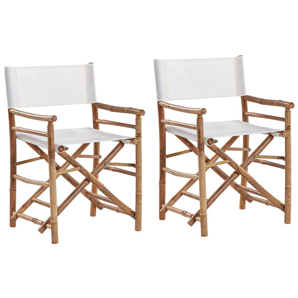 Tall Directors Chair Wayfair